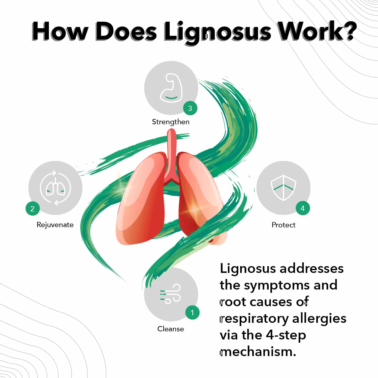 Lignosus Natural Respiratory Health Supplement